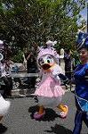 Dcim9053/DSC_0266