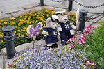 Dcim9056/DSC_0534