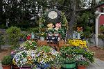 Dcim9056/DSC_0558