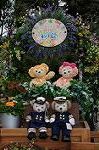 Dcim9056/DSC_0560