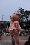 Dcim9057/DSC_0734