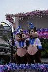 Dcim9058/DSC_0864