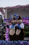 Dcim9058/DSC_0865