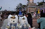 Dcim9058/DSC_0884