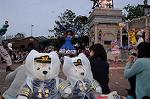 Dcim9058/DSC_0889