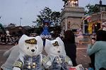 Dcim9058/DSC_0890