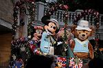 Dcim9059/DSC_0934