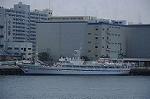 Dcim9062/DSC_1206
