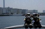 Dcim9062/DSC_1207