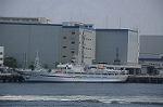 Dcim9062/DSC_1229