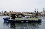 Dcim9065/DSC_1281