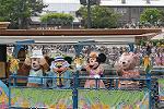 Dcim9074/DSC_4274