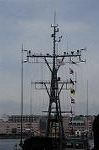 Dcim9087/DSC_3923