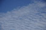 Dcim9092/DSC_4607