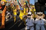 Dcim9094/DSC_4912