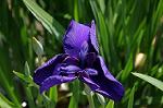 Dcim9103/DSC_5721