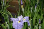 Dcim9104/DSC_5858