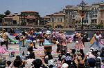 Dcim9109/DSC_6477