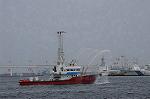Dcim9123/DSC_8148
