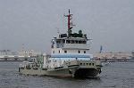Dcim9123/DSC_8184
