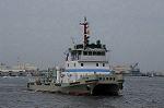 Dcim9123/DSC_8186