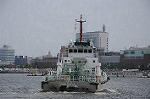 Dcim9123/DSC_8200