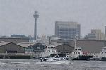 Dcim9124/DSC_8284
