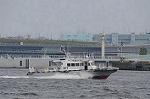 Dcim9124/DSC_8306
