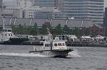 Dcim9124/DSC_8309