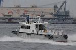 Dcim9124/DSC_8335