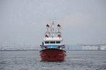 Dcim9126/DSC_8528