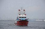 Dcim9126/DSC_8529