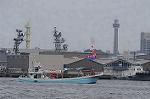 Dcim9126/DSC_8556