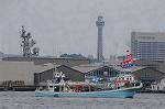 Dcim9126/DSC_8560