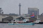 Dcim9126/DSC_8562