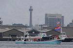 Dcim9126/DSC_8563