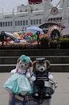 Dcim9131/DSC_9076