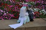 Dcim9134/DSC_9587