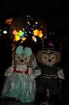 Dcim9138/DSC_0053