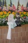 Dcim9138/DSC_0131