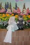 Dcim9138/DSC_0134