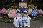 Dcim9142/DSC_0528