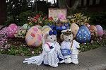 Dcim9142/DSC_0533