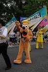 Dcim9142/DSC_0562
