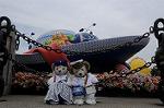 Dcim9143/DSC_0637
