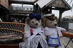 Dcim9143/DSC_0663