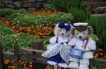Dcim9146/DSC_0995