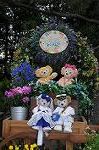 Dcim9147/DSC_1195