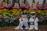 Dcim9152/DSC_1979