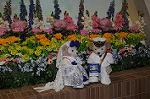 Dcim9152/DSC_1980
